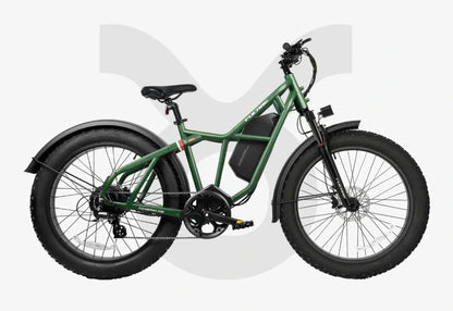 Fucare Taurus Electric Mountain Dirt Bike - TAURUS 25G-GY
