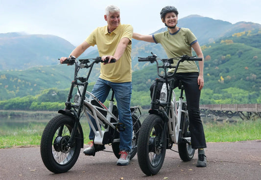 Fucare Gemini X Sport Dual Motor Dual Battery Ebike - SS-GEMINI-X-WH7-52T-L-ULB