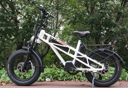 Fucare Gemini X Sport Dual Motor Dual Battery Ebike - SS-GEMINI-X-WH7-52T-L-ULB