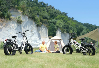 Fucare Gemini X Sport Dual Motor Dual Battery Ebike - SS-GEMINI-X-WH7-52T-L-ULB