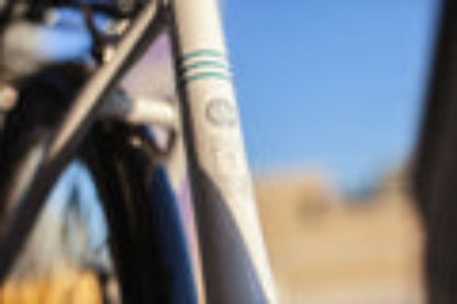 BATCH BICYCLES Step-Thru Electric Bikes - ST-B303940